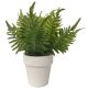 Artificial Plant In Pot (420-593168)