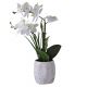 Concepts Life Artificial Orchid with Pot