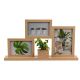 Wooden Photo Frame with Artificial Plant (C37890620)