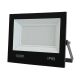 Light Source Led Flood Light 6000K (FL19-100W)