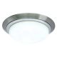 Ceiling Lamp Glass Opal (3596SN-CH)