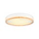 Xtricity Valentina Ceiling Fixture White 20 in. 30W 3000K (5-90273)