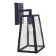 Outdoor Wall Lamp Clear Glass (8871W-BK)