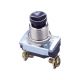 6 Amps 120 Volts Push Button Switch (GSW-22)