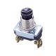 6 Amps 120 Volts Push Button Switch (GSW-22)