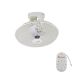 Jong-Huei Rotating Ceiling Fan 16in. White