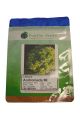Pandia Andromeda MI Lettuce Seeds 1Mx
