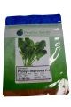 Pandia Popeye Improved F-1 Spinach Seeds
