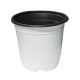 Plastic Flower Pot White 5-1/2 in. (BN150)