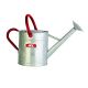 Watering Can Galvanized 2 gal