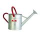Watering Can Galvanized 2 gal