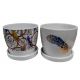 Life Art Pot And Saucer Assorted Colours 5in (767-06323)