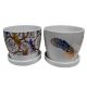 Life Art Pot And Saucer Assorted Colours 5in (767-06323)