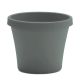 Planter Terra Basil 6 in. (7039465)
