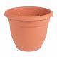 Planter Ariana Clay 6in