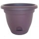Lucca Planter Exotica 6in
