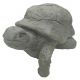 Planter Box Turtle (19-241013)
