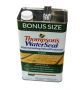 Thompsons WaterSeal Oil-Based Wood Protector Clear 1.2gal