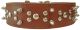 Collar Leather Spike and Studded 2 x 25in (62225)
