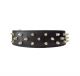 Collar Leather Spike 21in (62021)