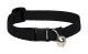Lupine Basics Cat Collar with Safety Buckle and Bell  Black 8-12 in. (8425449)