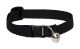 Lupine Basics Cat Collar with Safety Buckle and Bell  Black 8-12 in. (8425449)