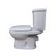 Top Flush P-Trap Toilet (A205P)