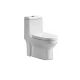 Toilet S-Trap All In One (A503)