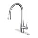 OakBrook 1 Handle Kitchen Faucet Chrome