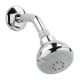 OakBrook Chrome Wallmount Showerhead (705380)