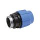 Adaptor Female Poly Blue 3/4in