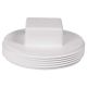 Plug Cleanout Waste 4in