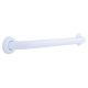 Grab Bar Conceal Mount White 24in (D5624W)