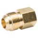 Flare Brass Adapter 1/4 x 1/8 in. FPT LF (4330833)