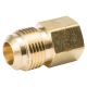 Flare Brass Adapter 3/8 x 1/4 in. FPT LF (4331518)