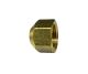 Pipe Cap Brass 3/4in