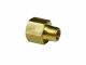 Reducer 3/8in FPT x 1/4in MPT (4505269)