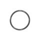 O-Ring 1-3/16in x 1-16in x 1/16in (49825)