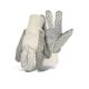 Canvas Dot Palm Gloves Assorted Colours (7795164)