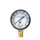 Campbell 2in 0-100 PSI Polycarbonate Pressure Gauge