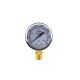 Gauge Low Pressure Oxygen Regulator 200PSI (9006050)
