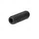 Socket Set Screw 1/4in x 3/4in