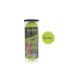 Ronin Tennis Ball Set 3Pcs Jar 2.5 in.