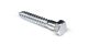 Screw Lag Galvanized 1/2 x 2in