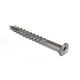 Screw Deck Stainless Steel 10 x 2in