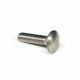 Bolt Carriage Stainless Steel 1/4in x 1in