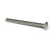 Bolt Carriage Stainless Steel 5/16in x 3in