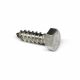 Screw Lag Hex Stainless Steel 1/4 x 1in